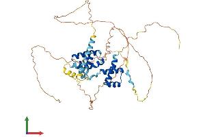 Protein Structure (PS) image for POU Class 3 Homeobox 2 (POU3F2) (AA 1-443) protein (His tag) (ABIN7550838)