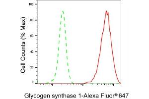 Flow cytometric analysis of Glycogen synthase 1 expression in HepG2 cells using Glycogen synthase 1 antibody (ABIN7798773), 1:2,000). (Recombinant Glycogen Synthase 1 抗体)