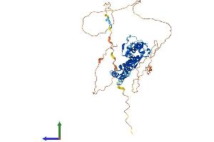 Protein Structure (PS) image for Transcription Factor AP-2 alpha (Activating Enhancer Binding Protein 2 Alpha) (TFAP2A) (AA 1-437) protein (His tag) (ABIN7552307)