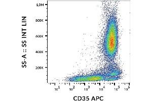 Surface staining of CD35 in human peripheral blood with anti-CD35 (E11) APC. (CD35 抗体  (APC))