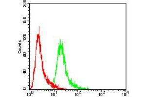 Flow cytometric analysis of Hela cells using EZH2 mouse mAb (green) and negative control (red). (EZH2 抗体  (AA 1-194))