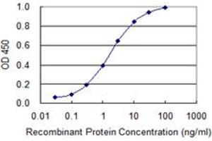 Detection limit for recombinant GST tagged TRAM2 is 0. (TRAM2 抗体  (AA 310-369))