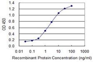 Detection limit for recombinant GST tagged HS6ST1 is 0. (HS6ST1 抗体  (AA 303-401))