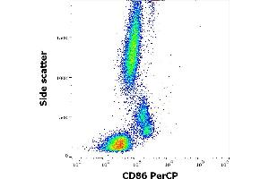 Flow cytometry surface staining pattern of human peripheral whole blood stained using anti-human CD86 (Bu63) PerCP antibody (10 μL reagent / 100 μL of peripheral whole blood). (CD86 抗体  (PerCP))