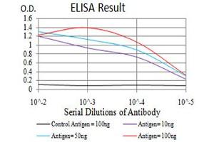 Fig. (ULK2 抗体  (AA 1-155))