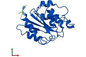 Protein Structure (PS) image for Retinoblastoma Binding Protein 9 (RBBP9) (AA 1-186) protein (His tag) (ABIN7562672)