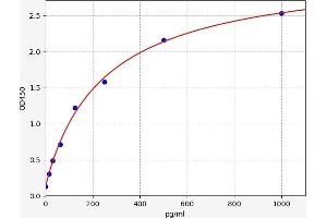 Cardiotrophin 1 ELISA 试剂盒