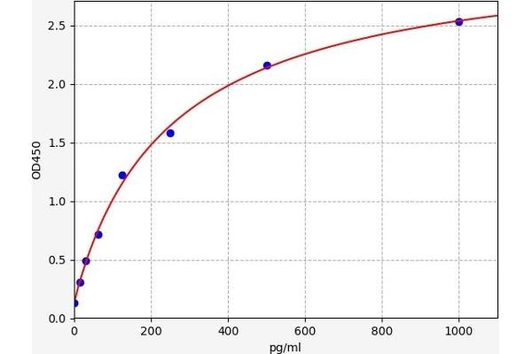 Cardiotrophin 1 ELISA 试剂盒