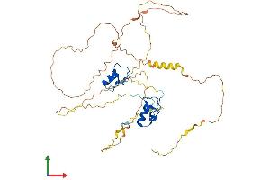 Protein Structure (PS) image for GATA Binding Protein 1 (Globin Transcription Factor 1) (GATA1) (AA 1-413) protein (His tag) (ABIN7547803)