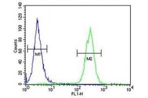 Flow Cytometry (FACS) image for anti-Microtubule-Associated Protein 1 Light Chain 3 beta (MAP1LC3B) (AA 74-106) antibody (ABIN3029739)