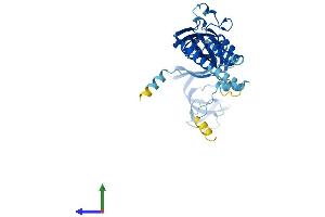 AlphaFold protein structure predicition of Human Recombinant P2RX4 Protein, UniprotID Q99571
