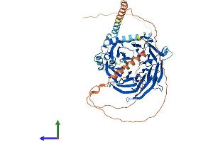 Protein Structure (PS) image for DDB1 and CUL4 Associated Factor 8 (DCAF8) (AA 1-597) protein (His tag) (ABIN7546976)