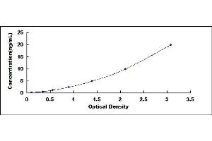 Typical standard curve (Vimentin ELISA 试剂盒)