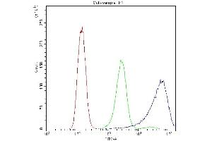 Flow Cytometry analysis of A431 cells using anti-Calpastatin antibody (ABIN4886503).
