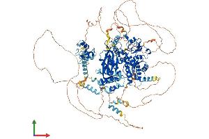 AlphaFold protein structure predicition of Mouse Recombinant Rev1 Protein, UniprotID Q920Q2
