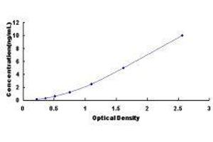 ELISA image for ATPase, H+/K+ Exchanging, beta Polypeptide (ATP4b) ELISA Kit (ABIN429319)