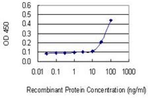 Detection limit for recombinant GST tagged RPL18A is 10 ng/ml as a capture antibody. (RPL18A 抗体  (AA 77-176))