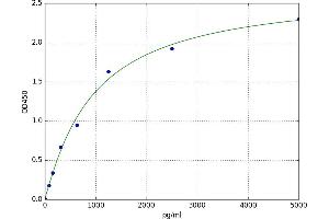 Aminomethyltransferase (AMT) ELISA Kit