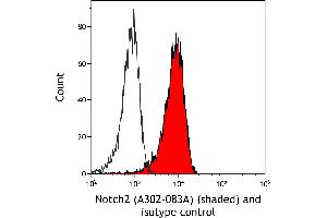 Flow Cytometry (FACS) image for anti-Notch 2 (NOTCH2) (AA 2250-2300) antibody (ABIN7454804)