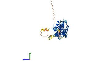 AlphaFold protein structure predicition of Human Recombinant KCTD10 Protein, UniprotID Q9H3F6