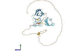 AlphaFold protein structure predicition of Human Recombinant TARDBP Protein, UniprotID Q13148