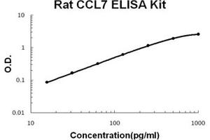 Rat CCL7/MCP-3 PicoKine ELISA Kit standard curve (CCL7 ELISA 试剂盒)