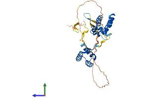 Protein Structure (PS) image for POU Class 6 Homeobox 1 (POU6F1) (AA 1-301) protein (His tag) (ABIN7556917)