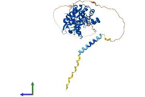AlphaFold protein structure predicition of Mouse Recombinant Hs3st3a1 Protein, UniprotID Q8BKN6