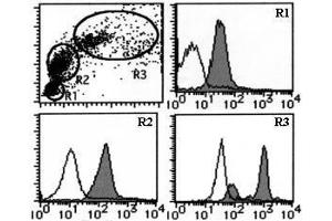 Flow Cytometry (FACS) image for anti-Solute Carrier Family 3 (Activators of Dibasic and Neutral Amino Acid Transport), Member 2 (SLC3A2) antibody (ABIN1449273) (SLC3A2 抗体)