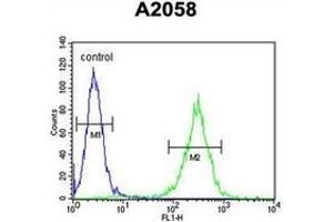 Flow cytometric analysis of A2058 cells using 17-beta-HSD12 / HSD17B12 Antibody (Center) Cat.