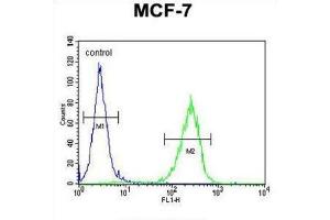 Flow Cytometry (FACS) image for anti-CO027 antibody (ABIN2995852) (CO027 抗体)