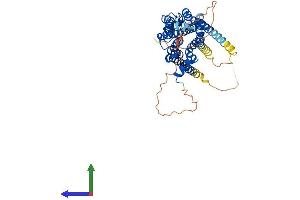 AlphaFold protein structure predicition of Mouse Recombinant Adrb2 Protein, UniprotID P18762