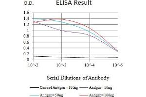 Black line: Control Antigen (100 ng),Purple line: Antigen (10 ng), Blue line: Antigen (50 ng), Red line:Antigen (100 ng) (MUC16 抗体  (AA 1-200))