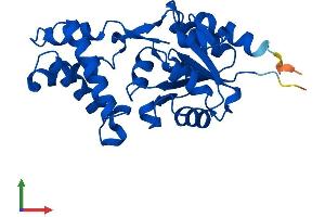 Protein Structure (PS) image for Haloacid Dehalogenase-Like Hydrolase Domain Containing 3 (HDHD3) (AA 1-251) protein (His tag) (ABIN7548249)