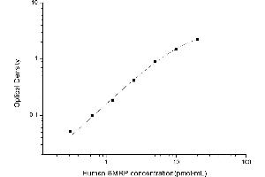 Typical standard curve (Mesothelin Related Peptide ELISA 试剂盒)