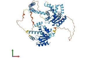 Protein Structure (PS) image for Adenylate Kinase 5 (AK5) (AA 1-562) protein (His tag) (ABIN7560183)