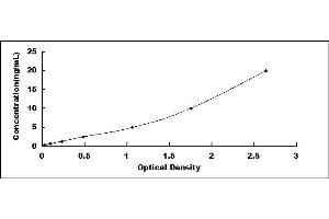 Typical standard curve (Cathepsin D ELISA 试剂盒)