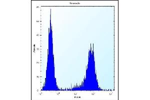 P3K15 Antibody (N-term) (ABIN656257 and ABIN2845573) flow cytometric analysis of Neuro-2a cells (right histogram) compared to a negative control cell (left histogram). (MAP3K15 抗体  (N-Term))