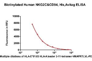 Immobilized Biotinylated Human NKG2C&CD94, His,Avitag (ABIN6973176) at 1 μg/mL (100 μL/well) on streptavidin  precoated (0.
