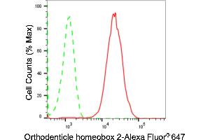 Flow cytometric analysis of Orthodenticle homeobox 2 expression in HAP-1 cells using Orthodenticle homeobox 2 antibody (ABIN7799709), 1:2,000). (Recombinant OTX2 抗体)