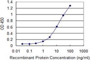 Detection limit for recombinant GST tagged SNAP29 is 0. (SNAP29 抗体  (AA 1-258))