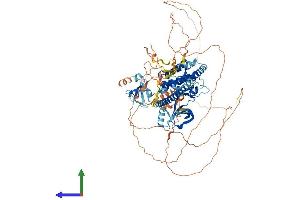Protein Structure (PS) image for Mitogen-Activated Protein Kinase Kinase Kinase 11 (MAP3K11) (AA 1-847) protein (His tag) (ABIN7554446)