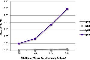 ELISA plate was coated with purified human IgG1, IgG2, IgG3, and IgG4. (小鼠 anti-人 IgG4 (Fc Region) Antibody (Alkaline Phosphatase (AP)))