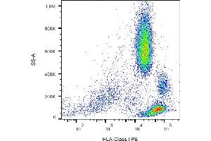 Flow cytometry analysis (surface staining) of human peripheral blood cells with anti-HLA-class I (W6/32) PE.