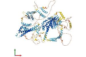 Protein Structure (PS) image for SIN3 Transcription Regulator Homolog B (SIN3B) (AA 1-1162) protein (His tag) (ABIN7555483)