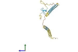 Protein Structure (PS) image for SFRS12-Interacting Protein 1 (SFRS12IP1) (AA 1-155) protein (His tag) (ABIN7546439)