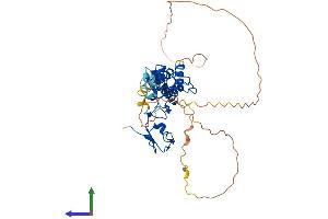 Protein Structure (PS) image for Ring Finger Protein 34 (RNF34) (AA 1-372) protein (His tag) (ABIN7555249)