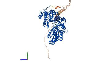 AlphaFold protein structure predicition of Human Recombinant GAD1 Protein, UniprotID Q99259 (GAD Protein (AA 1-594) (His tag))