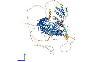 AlphaFold protein structure predicition of Human Recombinant RECQL5 Protein, UniprotID O94762
