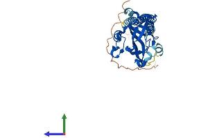 Protein Structure (PS) image for Surfeit 1 (SURF1) (AA 1-306) protein (His tag) (ABIN7562783)